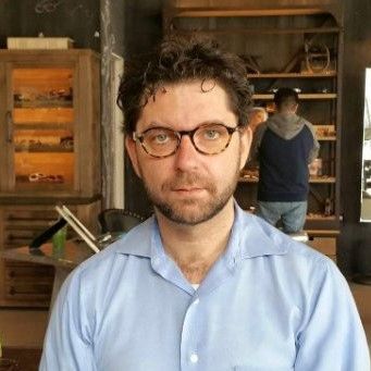 Dan N. Constantinescu