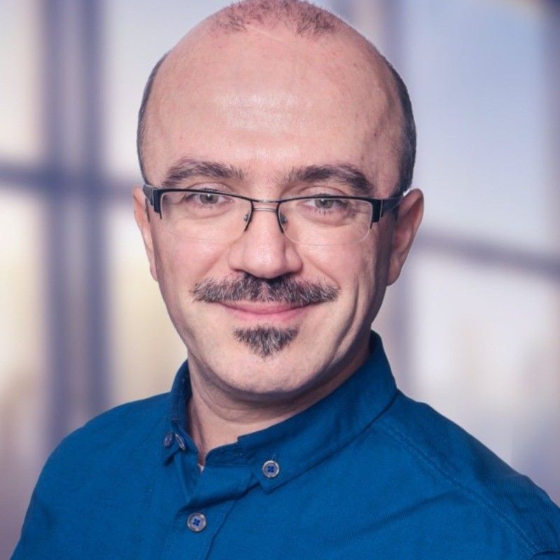 Ion Gavrilescu