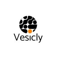 Vesicly logo