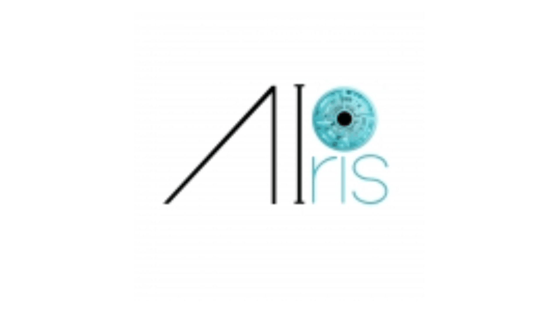 airisvision