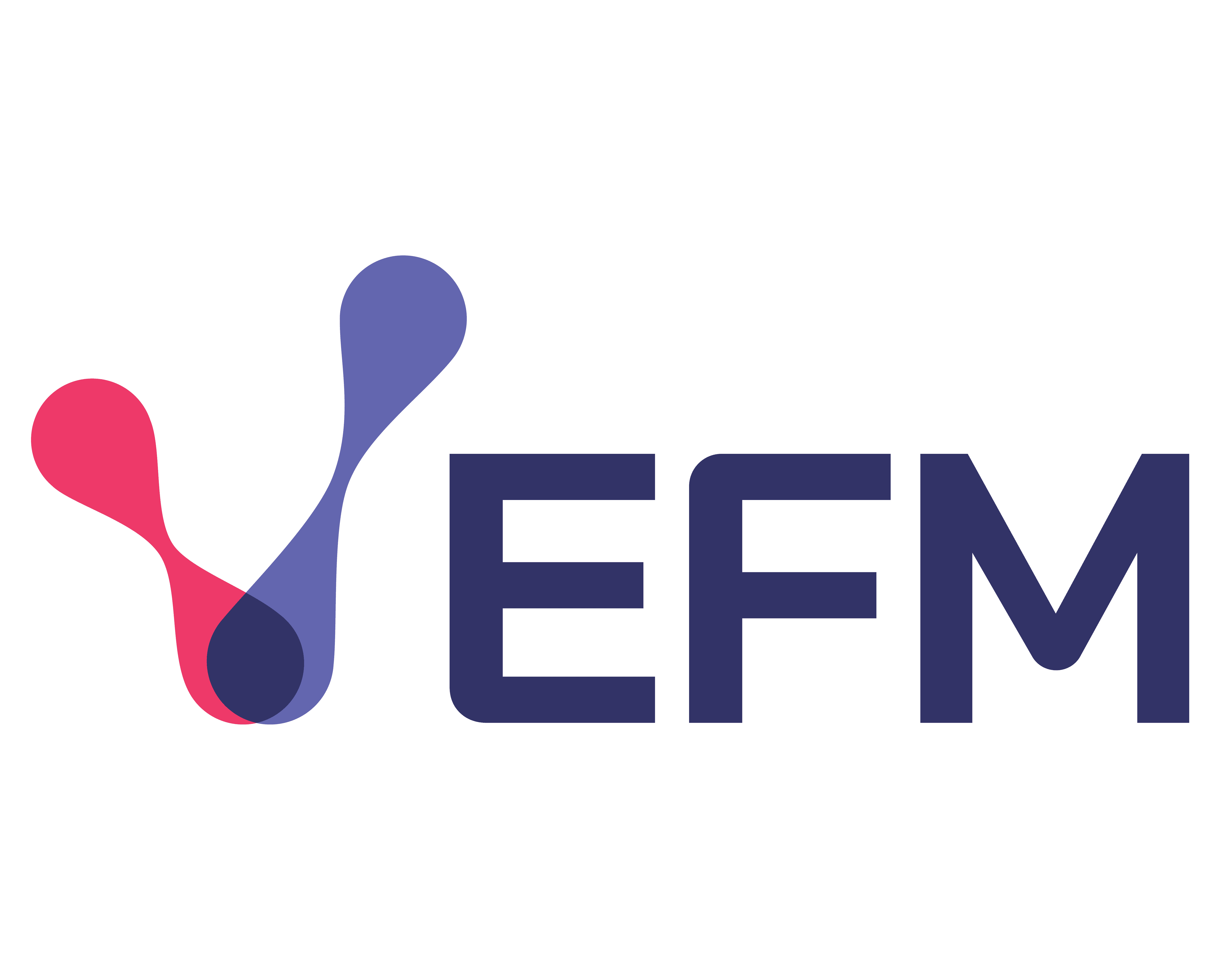 EFM SA