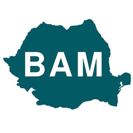 BAAM logo