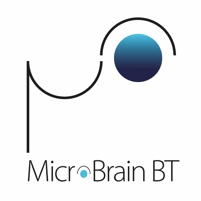 MicroBrain logo