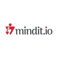 MINDIT SERVICES logo