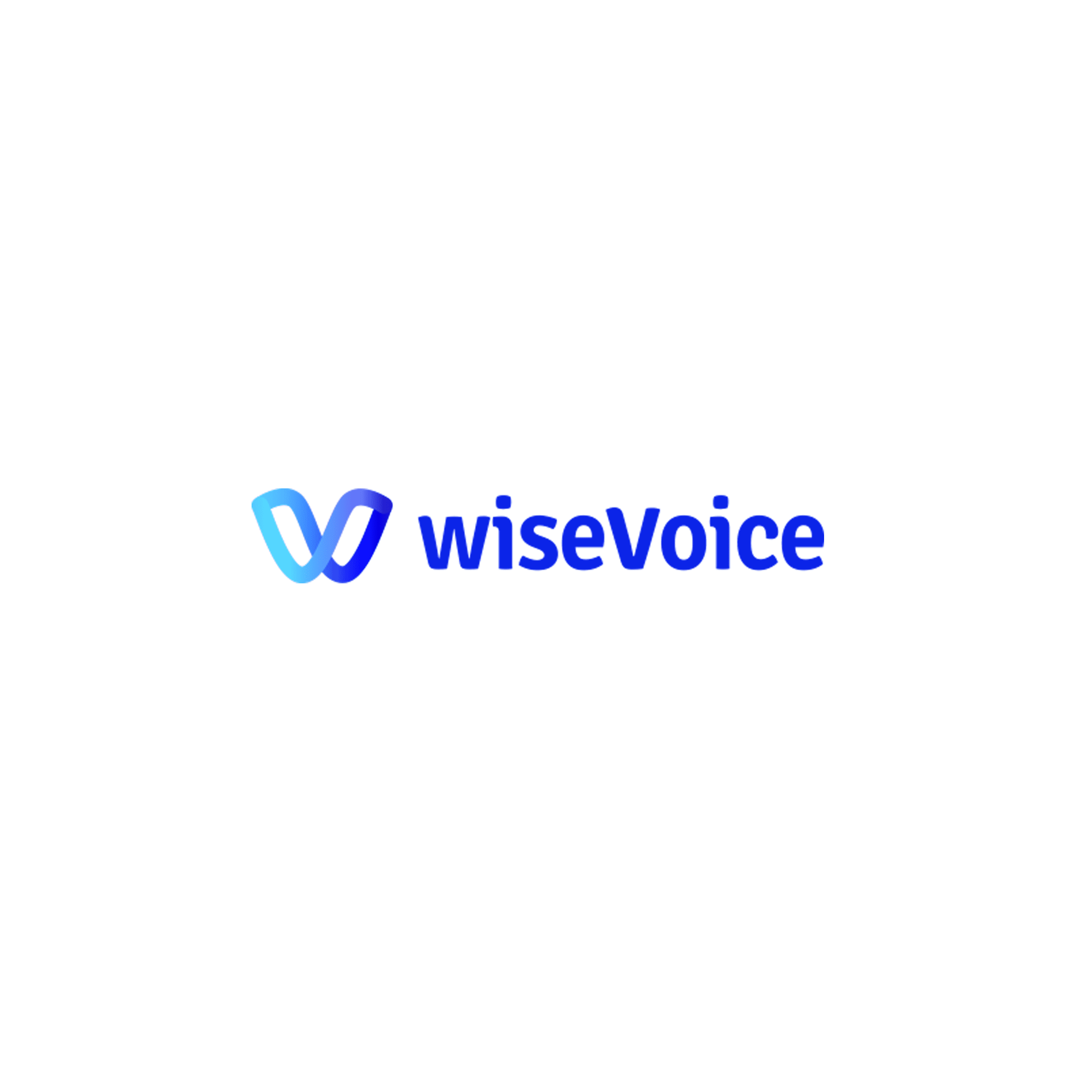 wiseVoice